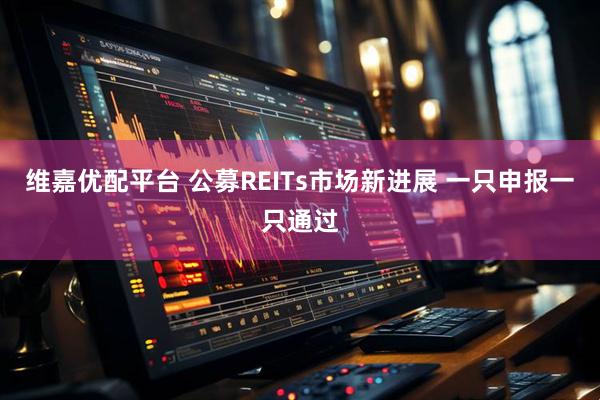 维嘉优配平台 公募REITs市场新进展 一只申报一只通过