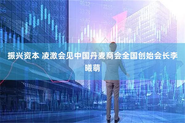 振兴资本 凌激会见中国丹麦商会全国创始会长李曦萌