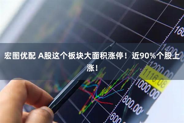 宏图优配 A股这个板块大面积涨停！近90%个股上涨！