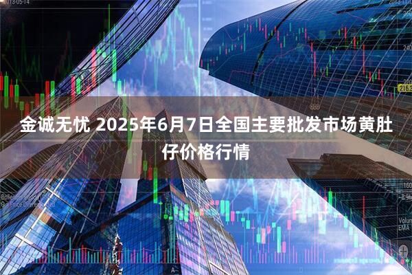 金诚无忧 2025年6月7日全国主要批发市场黄肚仔价格行情
